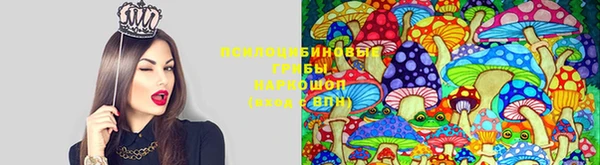 трава Мурманск