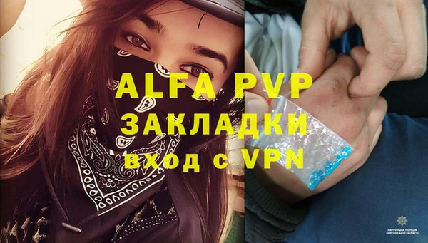 стаф Куйбышев