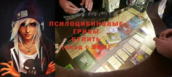 гашик Заволжье