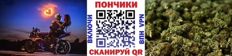Бошки марихуана OG Kush  продажа наркотиков  Жиздра 
